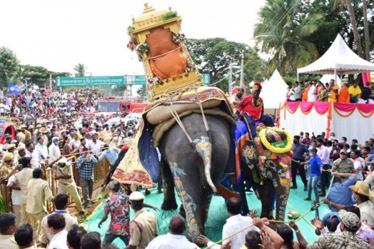 ಪಟಾಕಿಗೆ ಬೆದರಿ ತಿರುಗಿದ ಆನೆ: ದಿಕ್ಕಾಪಾಲಾಗಿ ಓಡಿದ ಜನ- ಜಂಬೂಸವಾರಿ ಸ್ಥಗಿತ!