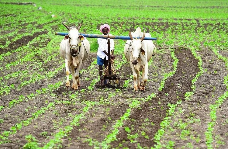 ರೈತ ಸಮುದಾಯಕ್ಕೆ ಮತ್ತೊಂದು ಗುಡ್ ನ್ಯೂಸ್ : `ಗಂಗಾ ಕಲ್ಯಾಣ ನೀರಾವರಿ ಯೋಜನೆ'ಯಡಿ ಸಾಲ ಸೌಲಭ್ಯಕ್ಕೆ ಅರ್ಜಿ ಆಹ್ವಾನ