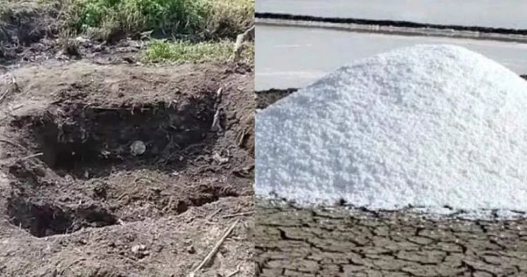 ಹೆಂಡತಿಯನ್ನು ಕೊಂದು ದೇಹದ ಮೇಲೆ ಉಪ್ಪು ಹಾಕಿ ಯಾರಿಗೂ ಡೌಟ್ ಬರದಂತೆ ತರಕಾರಿ ಬೆಳೆದ ಭೂಪ..!