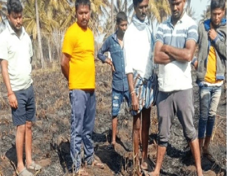 ಕಬ್ಬಿನ ಗದ್ದೆಗೆ ಬೆಂಕಿ : ಬೆಂಕಿ ನಂದಿಸುತ್ತಲೇ ಸುಟ್ಟು ಕರಕಲಾದ ರೈತ