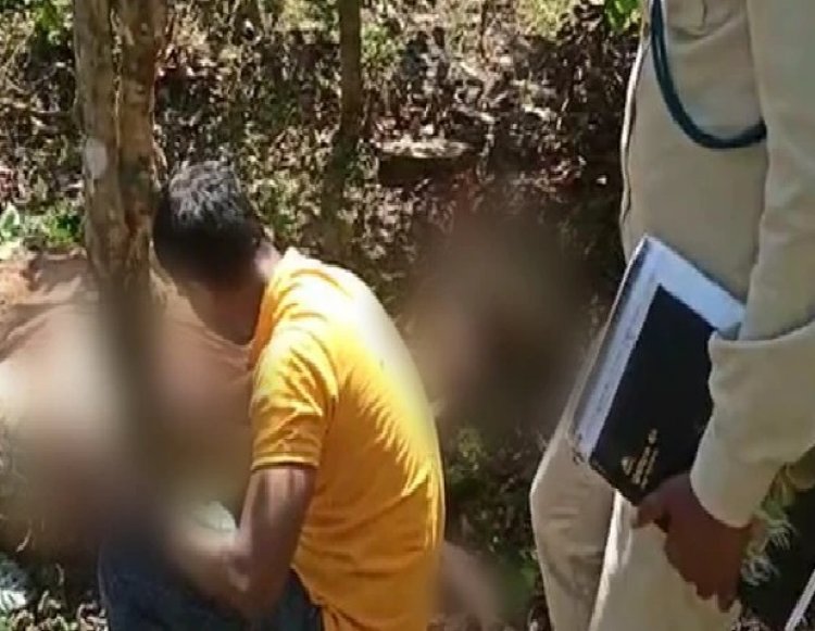ಮಲೆನಾಡಲ್ಲಿ ನಿಲ್ಲದ ಹುಲಿ ದಾಳಿ: ಆರು ತಿಂಗಳಲ್ಲಿ 50ಕ್ಕೂ ಹೆಚ್ಚು ಹಸುಗಳು ಬಲಿ